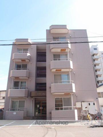 ラミアール円山(1K/3階)