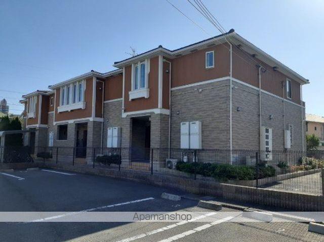 プリムローズ二色 2