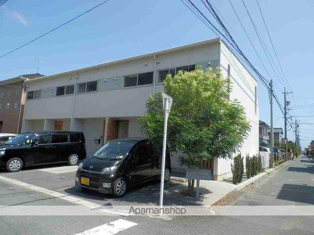 コーラルヘッド