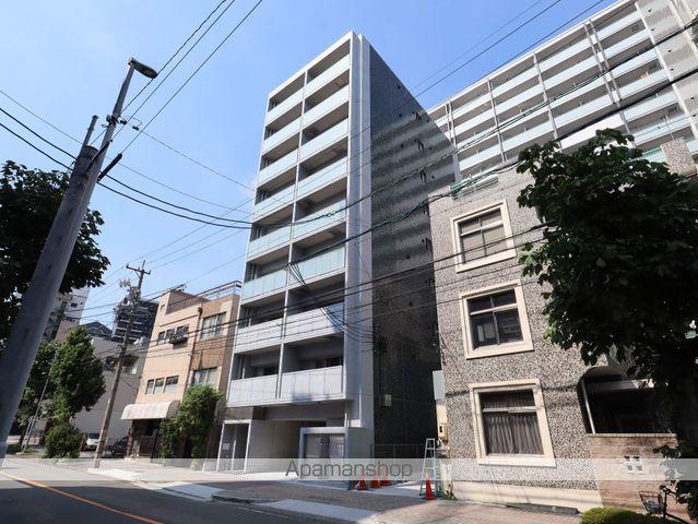 NR金山