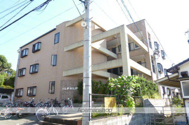 アルファルファA