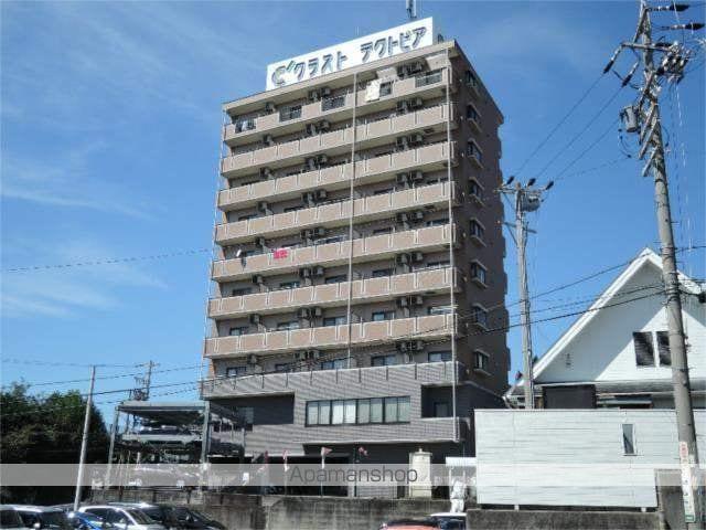 ドリーム・ピア