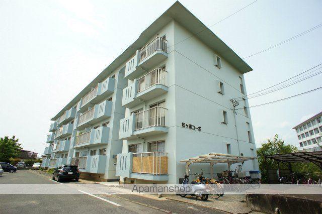 フォーサイト紫R・VIEW TERRACE(3DK/3階)