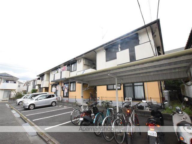 イージーパープル幸花