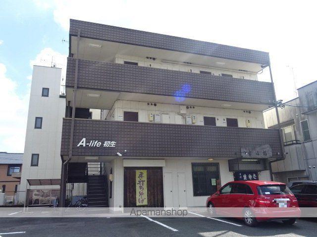 ALIFE初生