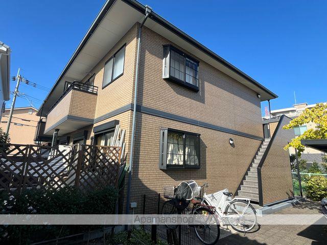 サザン・ルピナス