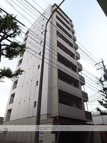 MS HOUSE 1