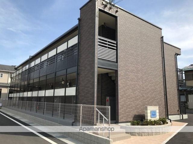 レオネクストハナミズキ