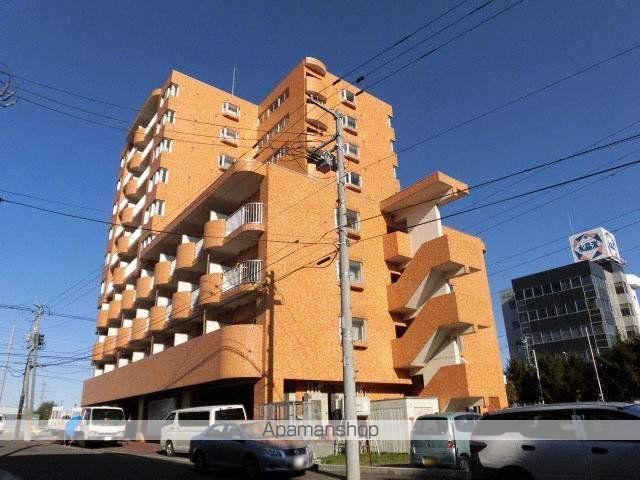 プロシード本通