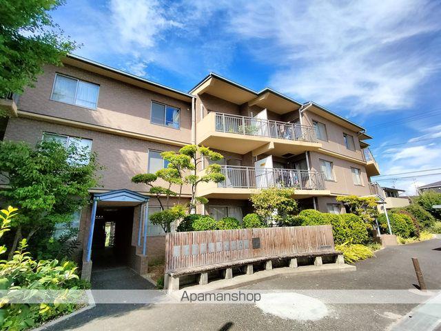 メイデンヘアー・A