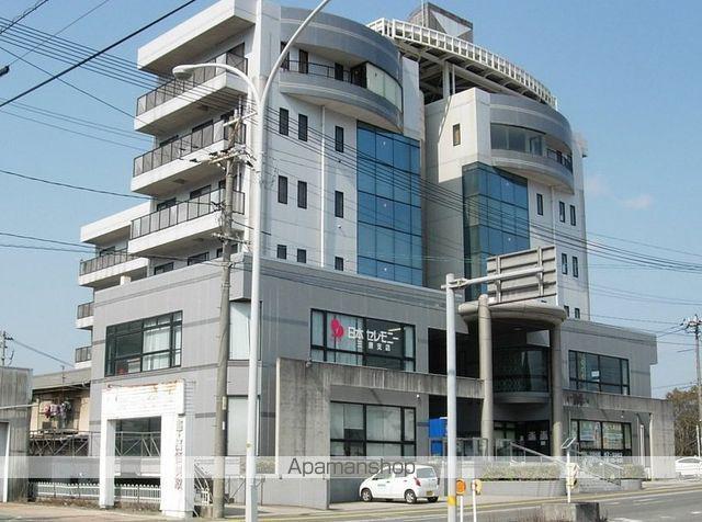 Mスタジアム