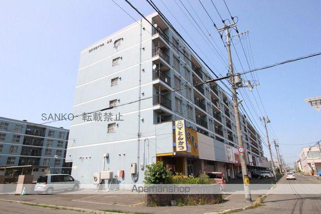 コスモロイヤル東苗穂A棟(3LDK/3階)