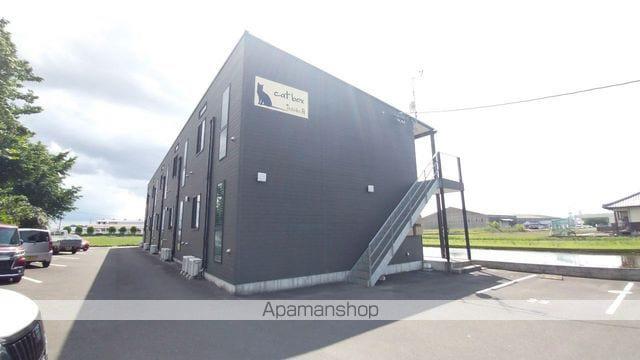 CAT BOX TADEIKE A