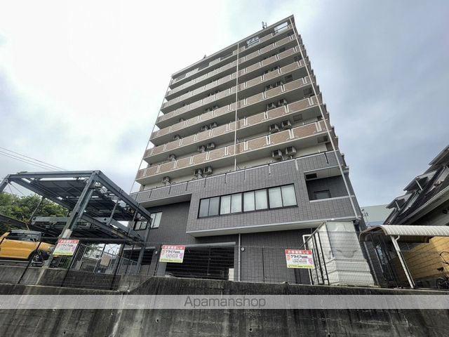ドリーム・ピア