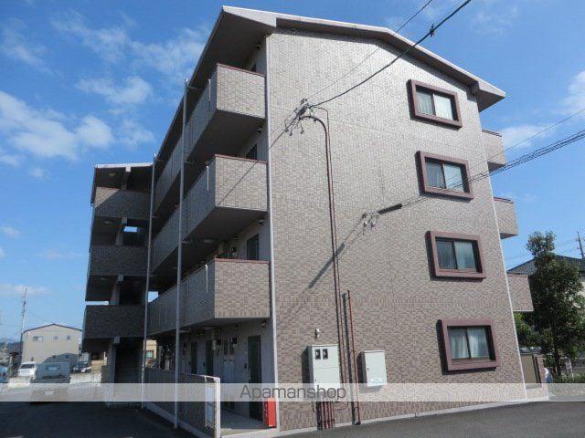 フリージア
