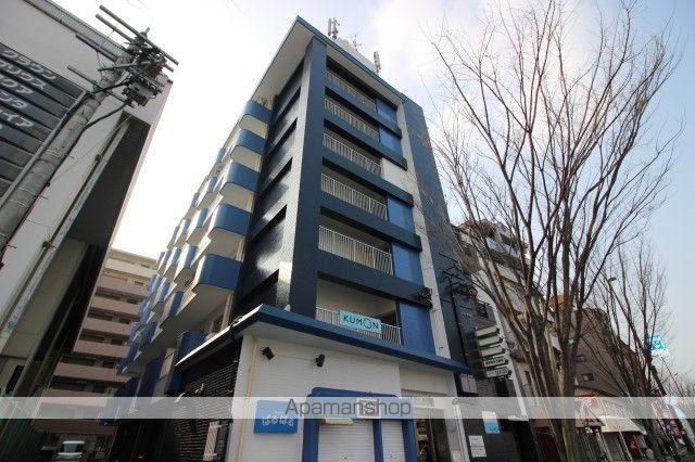 ステラ向野