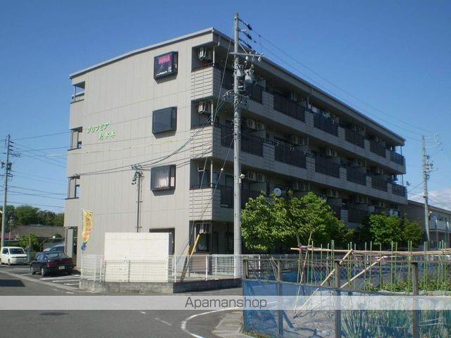 グリンピア花水木