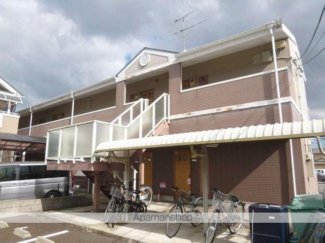 ワイズアクアーリオ