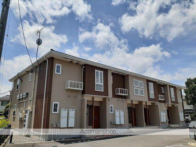 シャルマンサンフラワー・IB