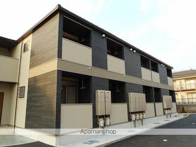 フラワーキャット