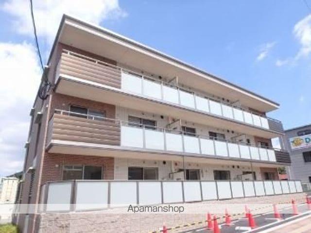 プルヌスコリーヌ