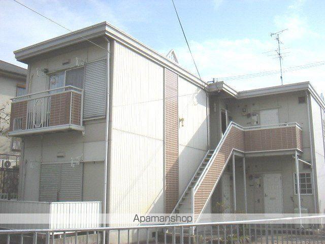 コスモス暁