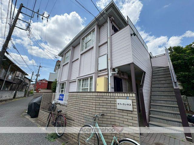 ゼフィランサス新柏