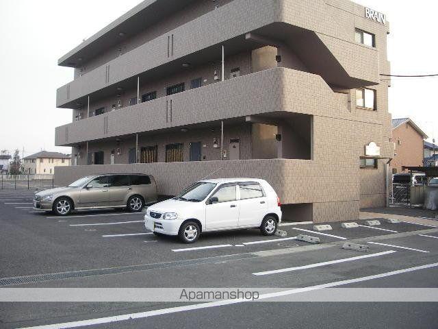 ブレインコートルピナス