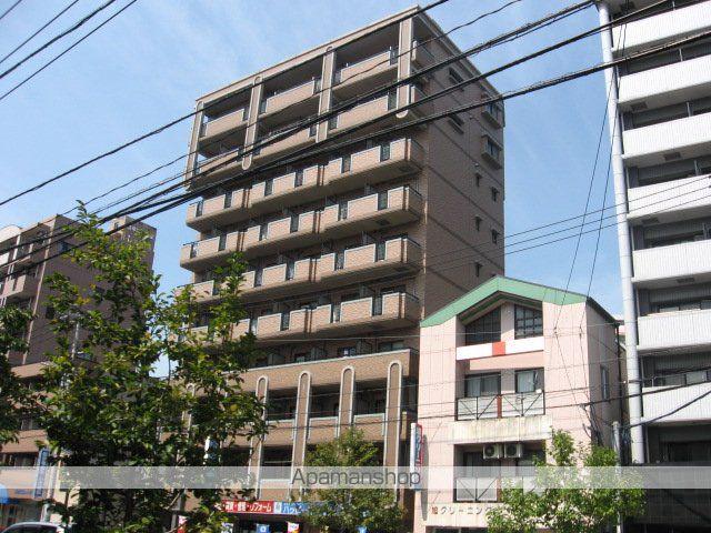 ルミノスコート