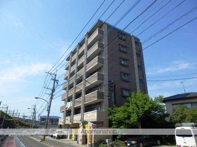 メイワコンチネンタル