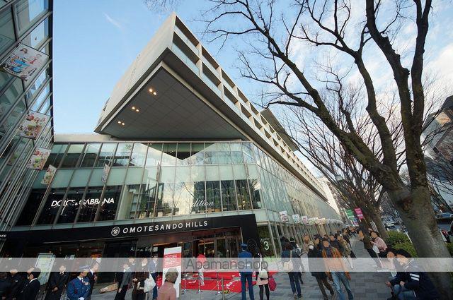 表参道ヒルズゼルコバテラス