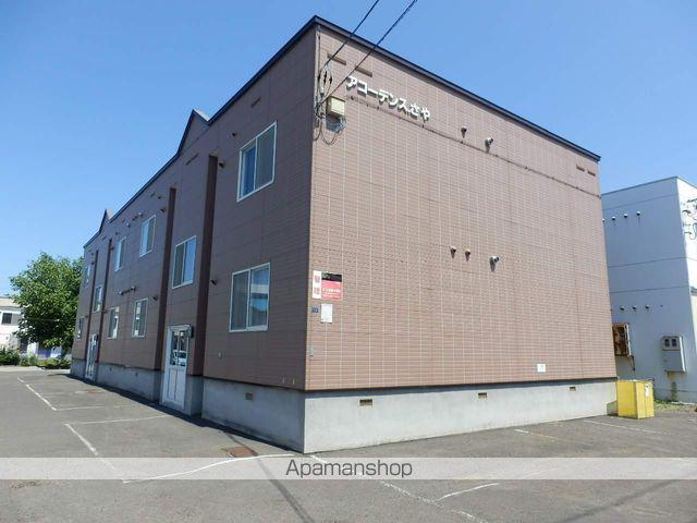 アコーデンスさや