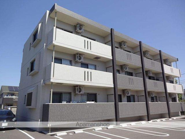 エバーグリーン