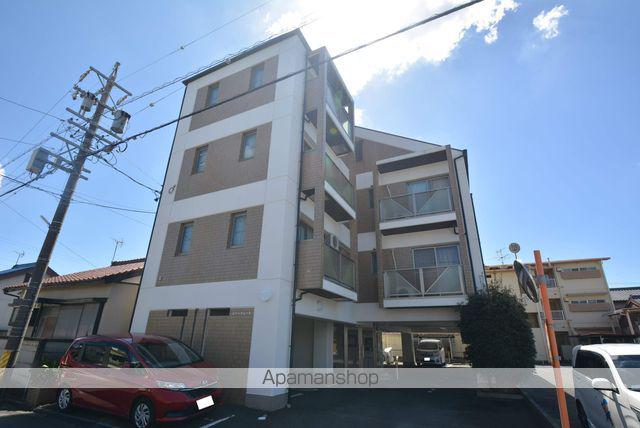 エバーグレイス