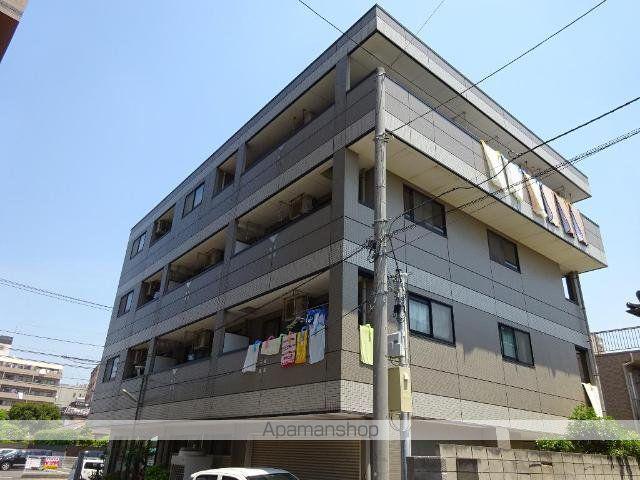 リトルウィング