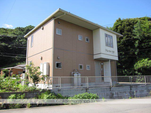アムールフジ