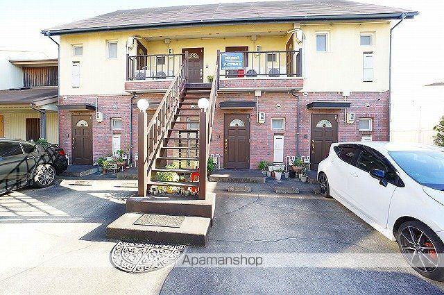 エバーグリーンTS