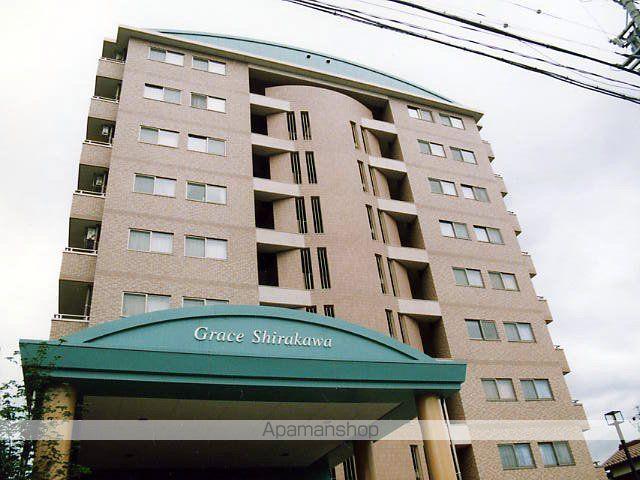 グレイスシラカワ