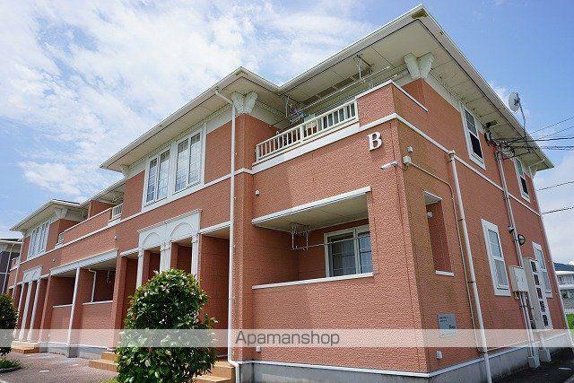 アプリコット・サン B