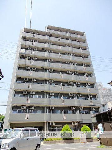 ホタカリュミエール・イワタ