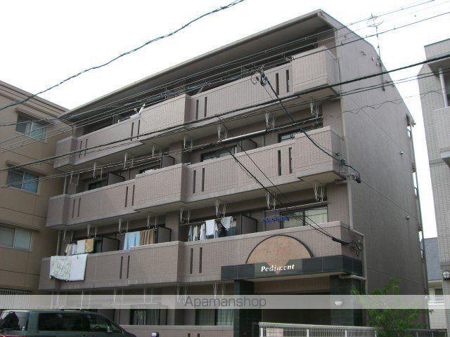 ペディメント(1DK/1階)