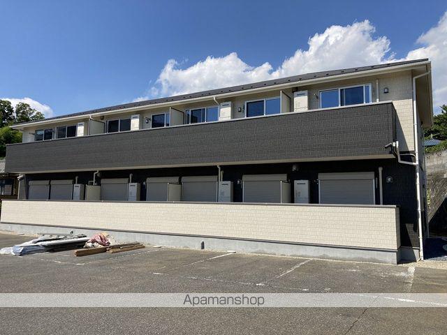 モンステラ稲毛