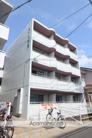 セリーヌ伊島