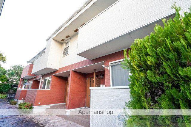 グレーステンダー