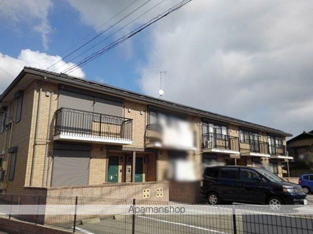 ＧＲＡＣＥ　ＭＥＧＵＭＩ（グレースメグミ）