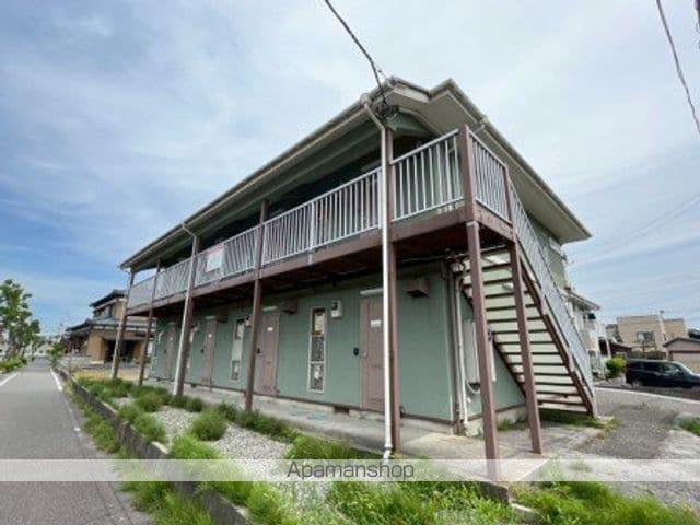 エバーグリーン大形