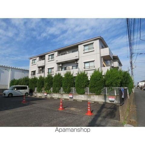 ダンデライオン