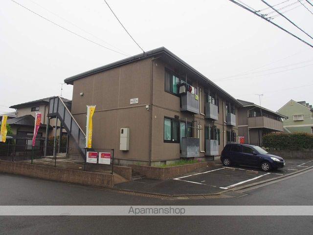 ブルーツリーアン