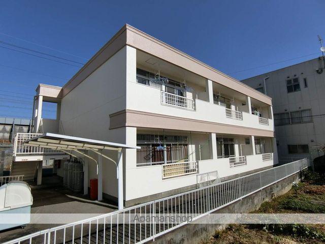 レクセル亀の甲