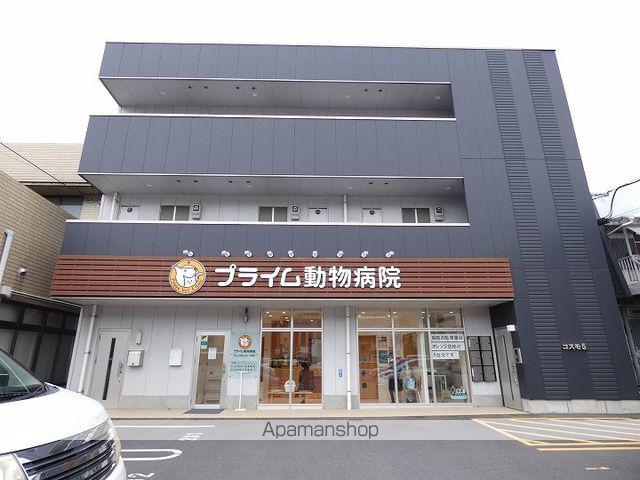 コスモ5
